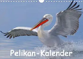 Wolf |  Pelikan-Kalender (Wandkalender 2020 DIN A4 quer) | Sonstiges |  Sack Fachmedien