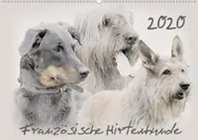 Redecker |  Französische Hirtenhunde 2020 (Wandkalender 2020 DIN A2 quer) | Sonstiges |  Sack Fachmedien