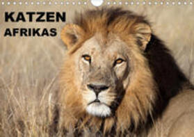 Herzog | Katzen Afrikas (Wandkalender 2020 DIN A4 quer) | Sonstiges | 978-3-670-54066-3 | sack.de