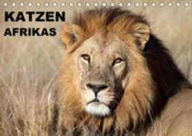 Herzog | Katzen Afrikas (Tischkalender 2020 DIN A5 quer) | Sonstiges | 978-3-670-54069-4 | sack.de