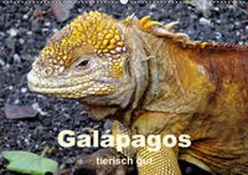 Rudolf Blank |  Galápagos - tierisch gut (Wandkalender 2020 DIN A2 quer) | Sonstiges |  Sack Fachmedien