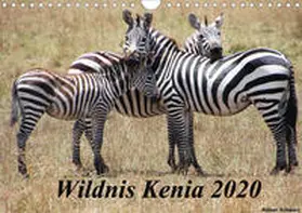 Schwarz | Wildnis Kenia 2020 (Wandkalender 2020 DIN A4 quer) | Sonstiges | 978-3-670-54252-0 | www.sack.de