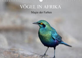 Herzog | Vögel in Afrika - Magie der Farben (Wandkalender 2020 DIN A3 quer) | Sonstiges | 978-3-670-54256-8 | sack.de