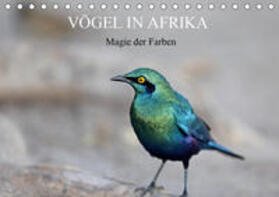 Herzog | Vögel in Afrika - Magie der Farben (Tischkalender 2020 DIN A5 quer) | Sonstiges | sack.de