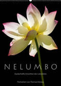 Herzog / www.bild-erzaehler.com |  N E L U M B O - Zauberhafte Ansichten der Lotosblüte (Wandkalender 2020 DIN A2 hoch) | Sonstiges |  Sack Fachmedien