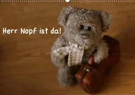 Kanthak |  Herr Nopf ist da! (Wandkalender 2020 DIN A2 quer) | Sonstiges |  Sack Fachmedien