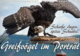 Reiter |  Scharfe Augen, spitze Schnäbel! Greifvögel im Porträt (Wandkalender 2020 DIN A4 quer) | Sonstiges |  Sack Fachmedien