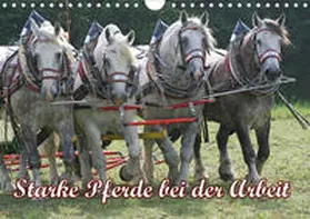 Lindert-Rottke |  Starke Pferde bei der Arbeit (Wandkalender 2020 DIN A4 quer) | Sonstiges |  Sack Fachmedien
