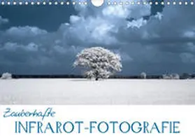 Langenkamp |  Zauberhafte Infrarot-Fotografie (Wandkalender 2020 DIN A4 quer) | Sonstiges |  Sack Fachmedien