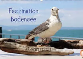 Raab |  Faszination Bodensee (Wandkalender 2020 DIN A2 quer) | Sonstiges |  Sack Fachmedien