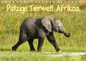 Haase |  Putzige Tierwelt Afrikas (Tischkalender 2020 DIN A5 quer) | Sonstiges |  Sack Fachmedien