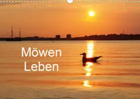 Riedel |  Möwen Leben (Wandkalender 2020 DIN A3 quer) | Sonstiges |  Sack Fachmedien