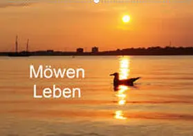 Riedel |  Möwen Leben (Wandkalender 2020 DIN A2 quer) | Sonstiges |  Sack Fachmedien