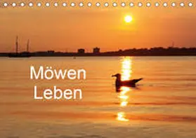 Riedel |  Möwen Leben (Tischkalender 2020 DIN A5 quer) | Sonstiges |  Sack Fachmedien