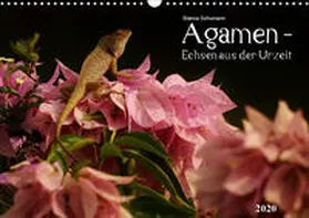 Schumann | Agamen - Echsen aus der UrzeitCH-Version  (Wandkalender 2020 DIN A3 quer) | Sonstiges | 978-3-670-54934-5 | www.sack.de