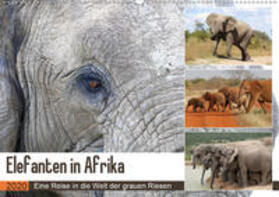 Herzog | Elefanten in Afrika (Wandkalender 2020 DIN A2 quer) | Sonstiges | 978-3-670-55226-0 | sack.de