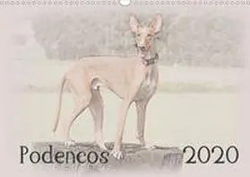 Redecker |  Podencos 2020 (Wandkalender 2020 DIN A3 quer) | Sonstiges |  Sack Fachmedien