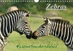 Haase |  Zebras - Faszination  der Wildnis (Wandkalender 2020 DIN A4 quer) | Sonstiges |  Sack Fachmedien