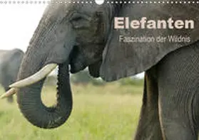 Haase |  Elefanten - Faszination der Wildnis (Wandkalender 2020 DIN A3 quer) | Sonstiges |  Sack Fachmedien