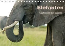 Haase |  Elefanten - Faszination der Wildnis (Tischkalender 2020 DIN A5 quer) | Sonstiges |  Sack Fachmedien
