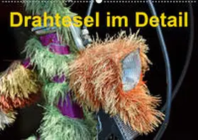 Laue | Drahtesel im Detail (Wandkalender 2020 DIN A2 quer) | Sonstiges | 978-3-670-55755-5 | www.sack.de