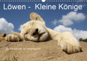 Sander | Löwen - Kleine Könige (Wandkalender 2020 DIN A3 quer) | Sonstiges | 978-3-670-56188-0 | sack.de