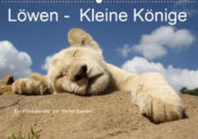 Sander | Löwen - Kleine Könige (Wandkalender 2020 DIN A2 quer) | Sonstiges | 978-3-670-56189-7 | sack.de