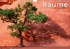 Kiedrowski |  Bäume - Wegbegleiter der Natur (Wandkalender 2020 DIN A4 quer) | Sonstiges |  Sack Fachmedien