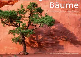 Kiedrowski |  Bäume - Wegbegleiter der Natur (Wandkalender 2020 DIN A2 quer) | Sonstiges |  Sack Fachmedien