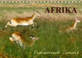 Haase |  Afrika - Faszinierende Tierwelt (Tischkalender 2020 DIN A5 quer) | Sonstiges |  Sack Fachmedien