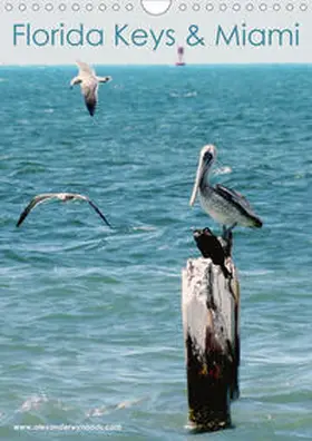 Wynands | Florida Keys und Miami (Wandkalender 2020 DIN A4 hoch) | Sonstiges | 978-3-670-56869-8 | www.sack.de