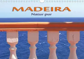 Frank |  Madeira - Natur pur (Wandkalender 2020 DIN A4 quer) | Sonstiges |  Sack Fachmedien