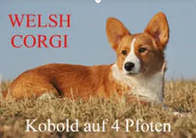 Starick |  Welsh Corgi - Kobold auf 4 Pfoten (Wandkalender 2020 DIN A2 quer) | Sonstiges |  Sack Fachmedien