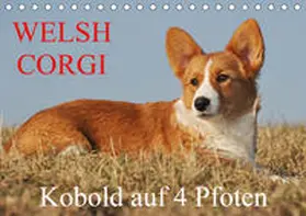 Starick |  Welsh Corgi - Kobold auf 4 Pfoten (Tischkalender 2020 DIN A5 quer) | Sonstiges |  Sack Fachmedien