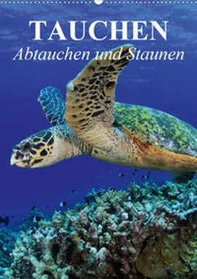 Stanzer |  Tauchen - Abtauchen und Staunen (Wandkalender 2020 DIN A2 hoch) | Sonstiges |  Sack Fachmedien