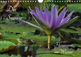 Fischer |  Die Seerose - Harmonie im Wasser (Wandkalender 2020 DIN A4 quer) | Sonstiges |  Sack Fachmedien