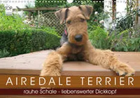 Rottmann |  Airedale Terrier (Wandkalender 2020 DIN A3 quer) | Sonstiges |  Sack Fachmedien
