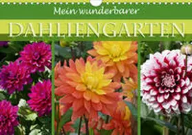 B-B Müller |  Mein wunderbarer Dahliengarten (Wandkalender 2020 DIN A4 quer) | Sonstiges |  Sack Fachmedien