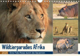 Herzog | Wildtierparadies Afrika - Eine Foto-Reise durch die Savannen (Wandkalender 2020 DIN A4 quer) | Sonstiges | 978-3-670-59355-3 | sack.de