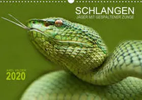 Hilger |  SCHLANGEN. JÄGER MIT GESPALTENER ZUNGE (Wandkalender 2020 DIN A3 quer) | Sonstiges |  Sack Fachmedien