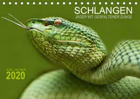 Hilger |  SCHLANGEN. JÄGER MIT GESPALTENER ZUNGE (Tischkalender 2020 DIN A5 quer) | Sonstiges |  Sack Fachmedien