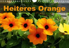 Schilling |  Heiteres Orange (Wandkalender 2020 DIN A4 quer) | Sonstiges |  Sack Fachmedien