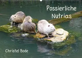 Bode |  Possierliche Nutrias (Wandkalender 2020 DIN A2 quer) | Sonstiges |  Sack Fachmedien