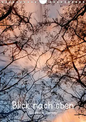 Biewer | Blick nach oben (Wandkalender 2020 DIN A4 hoch) | Sonstiges | 978-3-670-60145-6 | www.sack.de