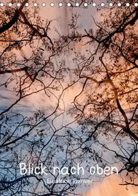 Biewer | Blick nach oben (Tischkalender 2020 DIN A5 hoch) | Sonstiges | 978-3-670-60147-0 | www.sack.de