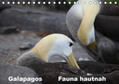 Krause |  Galapagos. Fauna hautnah (Tischkalender 2020 DIN A5 quer) | Sonstiges |  Sack Fachmedien