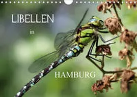 Brix - Studio Brix |  Libellen in HamburgCH-Version  (Wandkalender 2020 DIN A4 quer) | Sonstiges |  Sack Fachmedien
