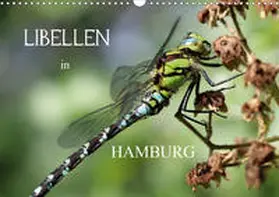 Brix - Studio Brix |  Libellen in HamburgCH-Version  (Wandkalender 2020 DIN A3 quer) | Sonstiges |  Sack Fachmedien