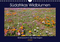 Herzog |  Südafrikas Wildblumen - Blütenpracht in der Kap-Region (Wandkalender 2020 DIN A4 quer) | Sonstiges |  Sack Fachmedien