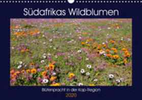 Herzog | Südafrikas Wildblumen - Blütenpracht in der Kap-Region (Wandkalender 2020 DIN A3 quer) | Sonstiges | 978-3-670-60834-9 | sack.de